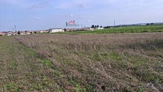 Land for sale in Ferreira do Alentejo, Portugal — €37,000