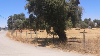 Land for sale in Santiago do Cacém, Portugal — €370,000