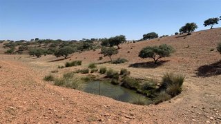 Terreno para venda em Mértola, Portugal — 44 000 €