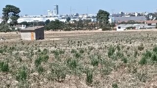 Land for sale in Montijo, Portugal — €800,000
