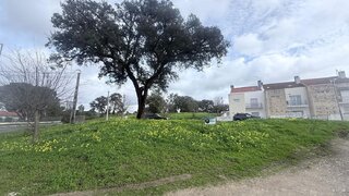 Terreno em Palmela