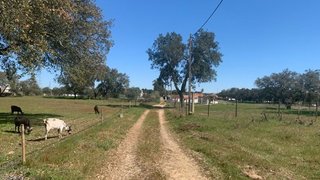 Land for sale in Santiago do Cacém, Portugal — €120,000