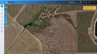 Terreno em Ferreira do Alentejo
