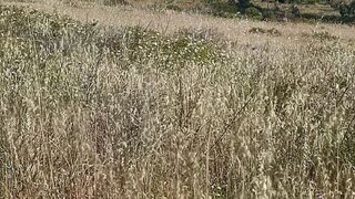 Land for sale in Palmela, Portugal — €65,000