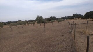 Terreno · 7000 m² · 7900 €