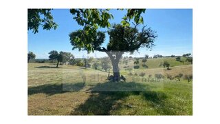 Land for sale in Serpa, Portugal — €95,000