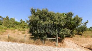 Terreno em Sesimbra