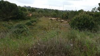 Terreno de 75 000 m² em Setúbal
