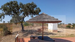 Land for sale in Serpa, Portugal — €340,000