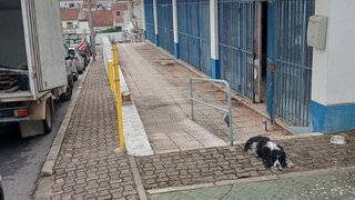 Terreno para venda em Sousel, Portugal — 95 000 €