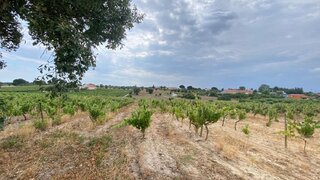 Terreno de 18 500 m² em Setúbal