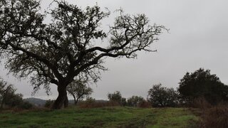 Land for sale in Alandroal, Portugal — €29,900
