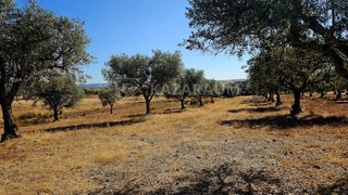 Land for sale in Ourique, Portugal — €300,000