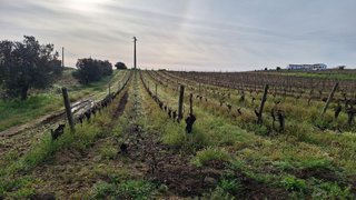 Land for sale in Reguengos de Monsaraz, Portugal — €120,000