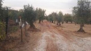 Land for sale in Vila Viçosa, Portugal — €35,000
