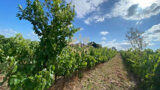 Land for sale in Palmela, Portugal — €122,000