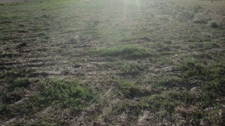 Land for sale in Montijo, Portugal — €420,000