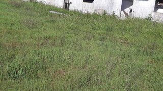 Land for sale in Montijo, Portugal — €1,000,000