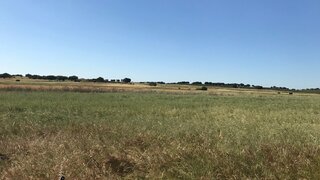 Land for sale in Ferreira do Alentejo, Portugal — €750,000