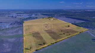 Land for sale in Montijo, Portugal — €550,000