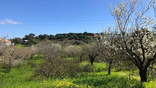 Land for sale in Sesimbra, Portugal — €228,000