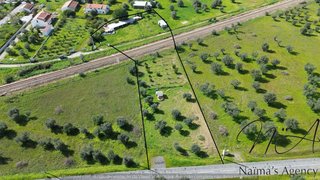 Terreno em Alvito