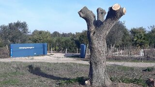 Land for sale in Ferreira do Alentejo, Portugal — €200,000
