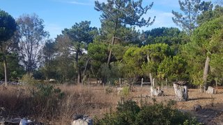 Land for sale in Sesimbra, Portugal — €210,000