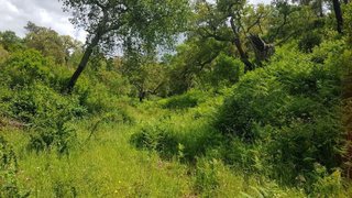 Land for sale in Odemira, Portugal — €215,000