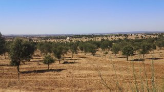 Terreno de 610 000 m² em Ourique