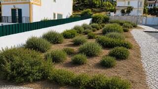 Land for sale in Sesimbra, Portugal — €80,000