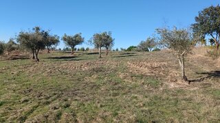 Terreno para venda em Alter do Chão, Portugal — 7500 €