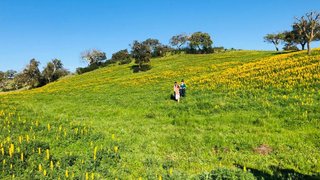 Land for sale in Santiago do Cacém, Portugal — €399,000