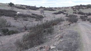 Terreno · 22 750 m² · 14 500 €