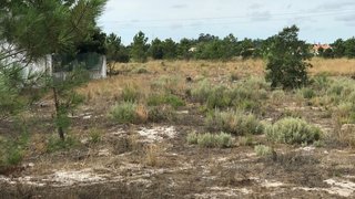 Land for sale in Palmela, Portugal — €69,969