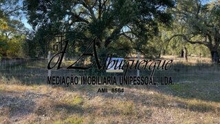Land for sale in Ponte de Sor, Portugal — €75,000