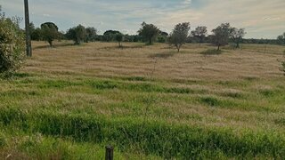 Terreno em Mora