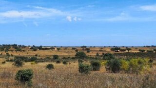 Land for sale in Reguengos de Monsaraz, Portugal — €205,000