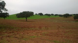 Terreno de 1 720 000 m² em Beja