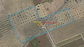 Land for sale in Moura, Portugal — €55,000