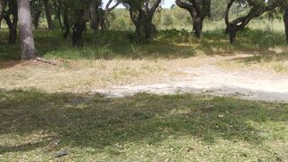 Land for sale in Gavião, Portugal — €185,000