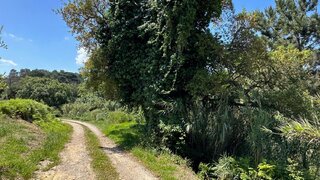 Land for sale in Sesimbra, Portugal — €1,130,000