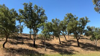 Land for sale in Santiago do Cacém, Portugal — €1,200,000