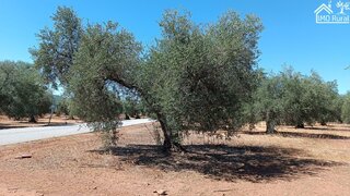 Land for sale in Moura, Portugal — €140,000