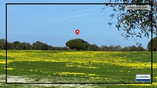 Land for sale in Grândola, Portugal — €2,630,000
