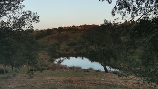 Terreno em Serpa