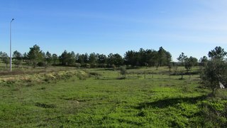 Land for sale in Ponte de Sor, Portugal — €32,500