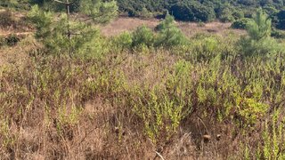 Land for sale in Sesimbra, Portugal — €550,000