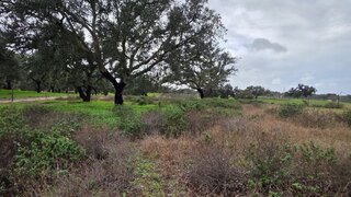 Land for sale in Santiago do Cacém, Portugal — €70,000