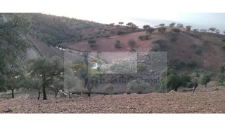 Land for sale in Serpa, Portugal — €120,000